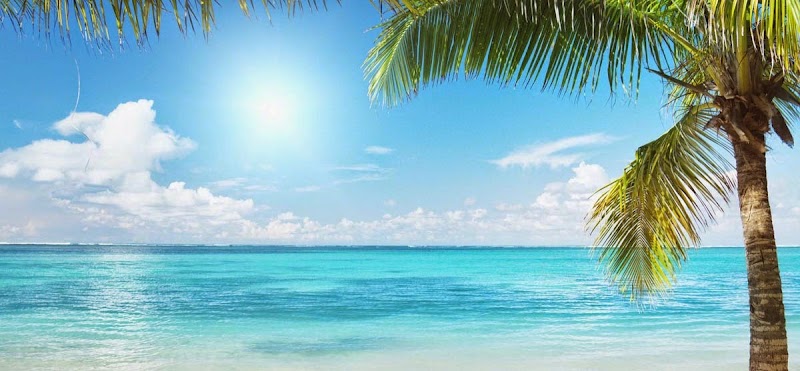 Kona Oasis Spa Buffalo - Day Spa in Buffalo