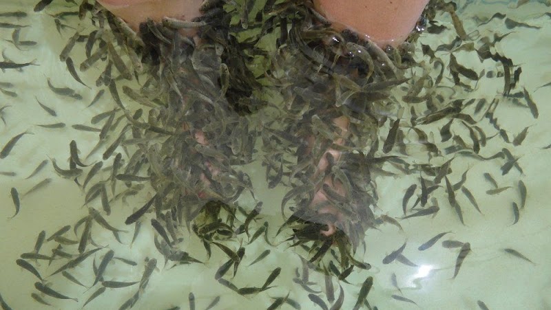 Kora Spa Nairobi photo