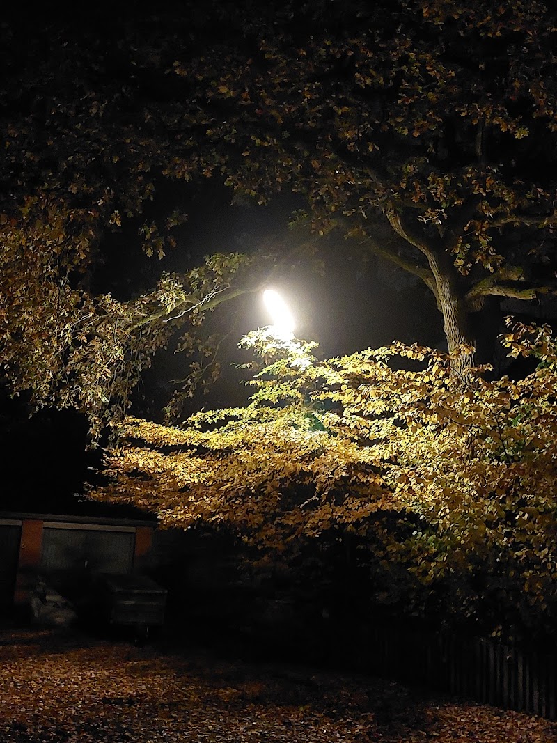 Kosmetik Henstedt-Ulzburg - Hajnal Szöke - Day Spa in Henstedt-Ulzburg
