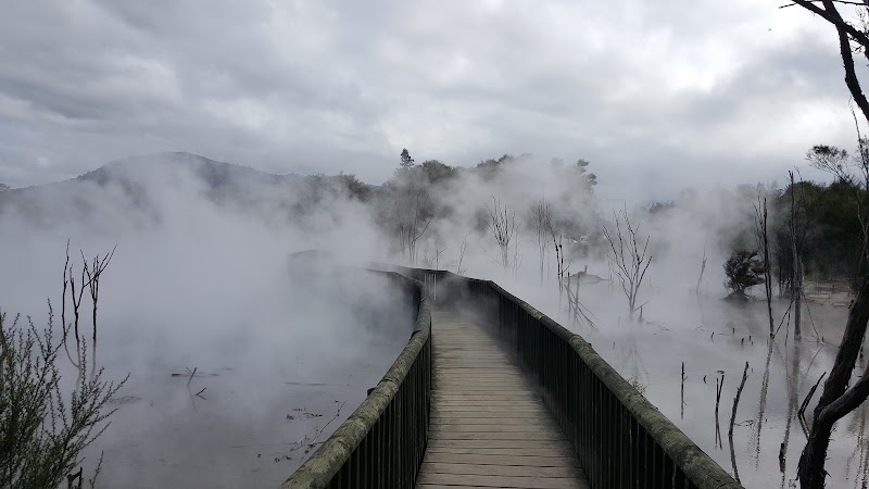 Kuirau Park Rotorua - Day Spa in Rotorua