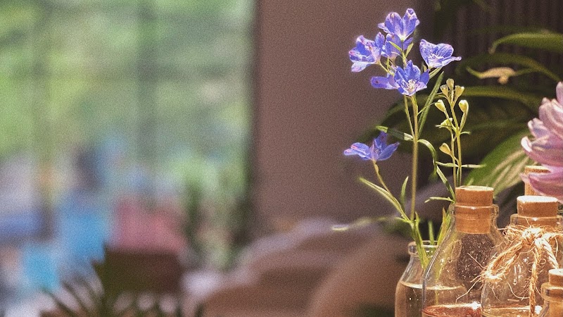 L'amour Spa Quận Ba Đình - Day Spa in Quận Ba Đình