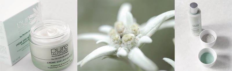 L'Antidote Saint-Étienne - Day Spa in Saint-Étienne