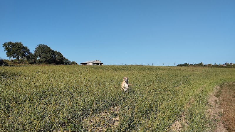 L'Atelier Corps et Art Saint-Martin-de-Gurson - Day Spa in Saint-Martin-de-Gurson