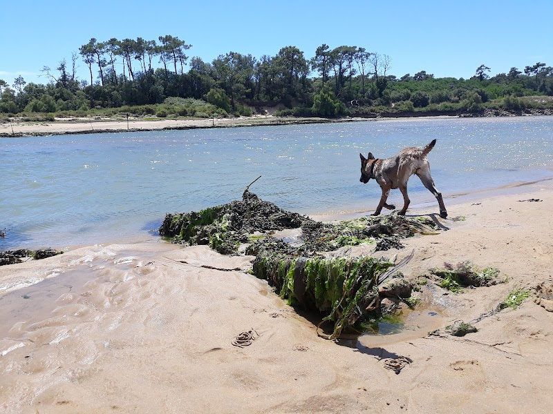 La Guittiere Talmont-Saint-Hilaire - Thermal Spa in Talmont-Saint-Hilaire
