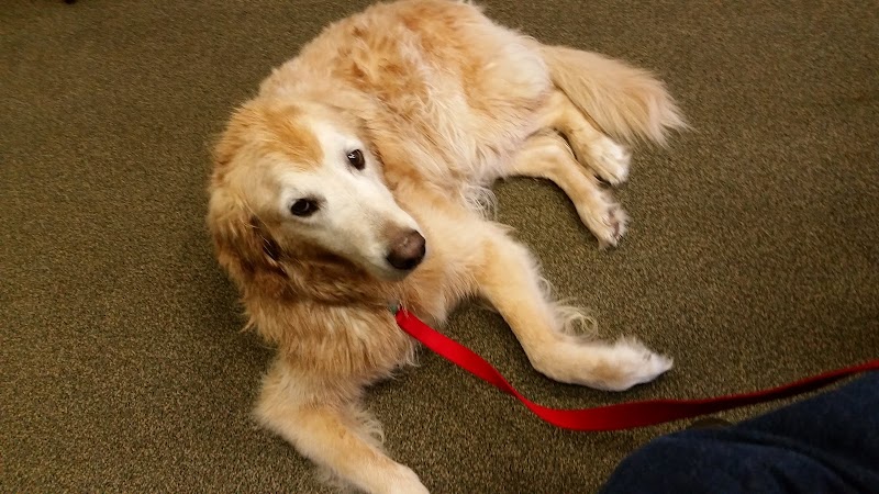 La Paw Spa Sequim - Day Spa in Sequim