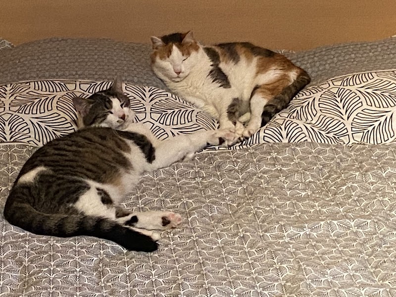 La SPA Refuge de la Vallée Blanche Cluses - Day Spa in Cluses