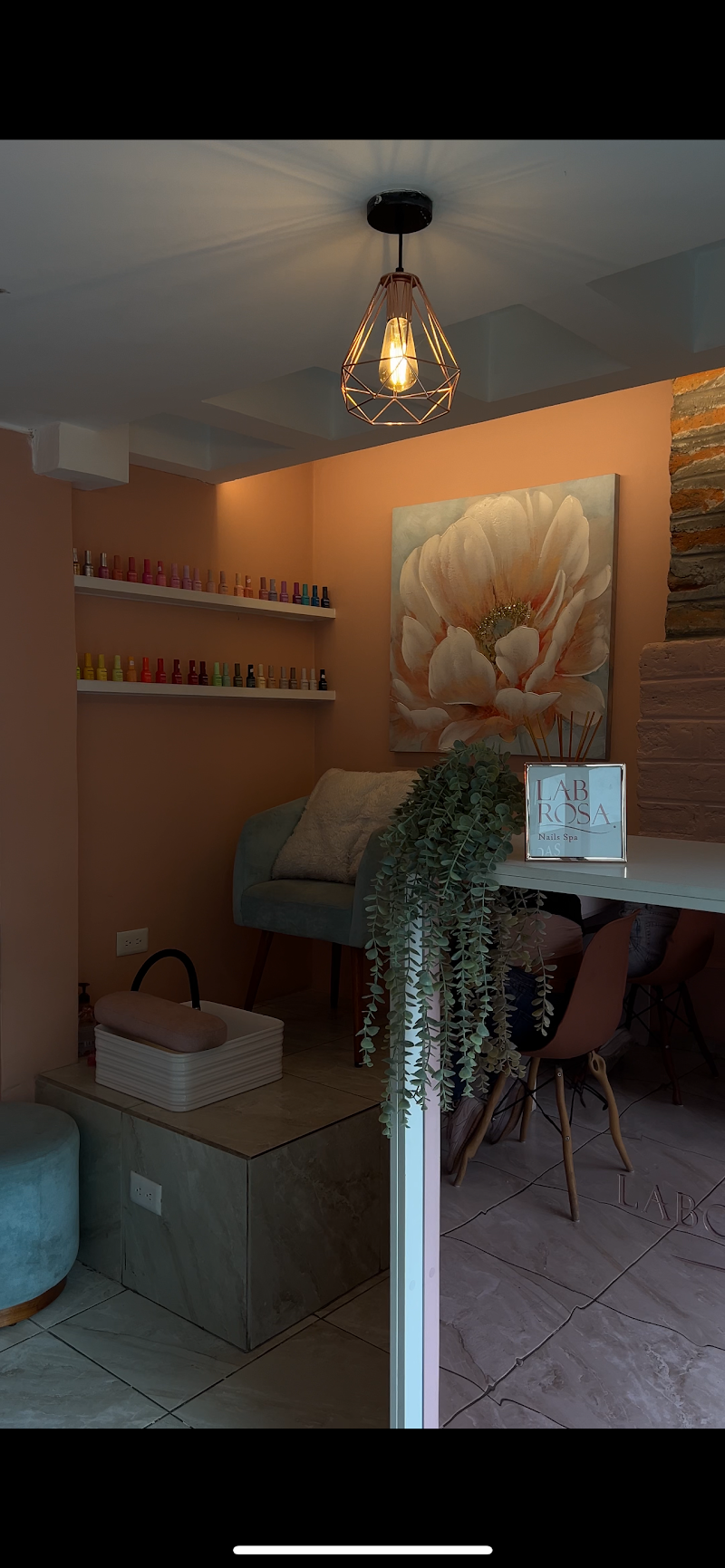 Laboratorio Rosa Quito photo