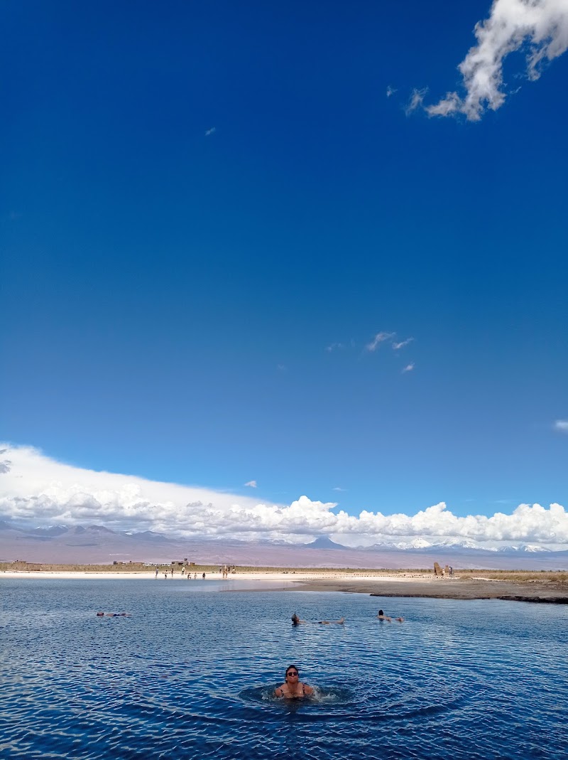 Laguna Cejar Atacama - Day Spa in Atacama