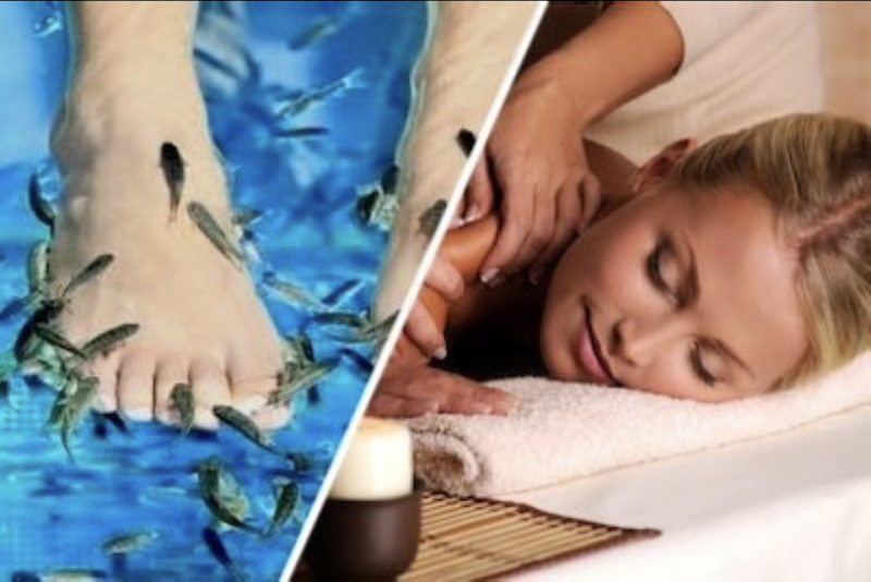 LAKANA Thai - Massage & Fish Spa Berlin, Nähe Alexanderplatz am Volkspark Friedrichshain im Prenzlauer Berg in Berlin - Medical Spa in Berlin