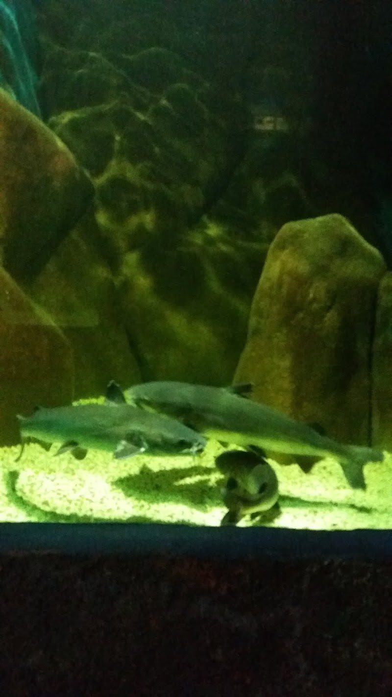 Lama Negra Peruíbe - Day Spa in Peruíbe