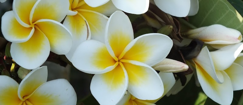 LanaVita Massage and Skincare Mt Lebanon - Day Spa in Mt Lebanon