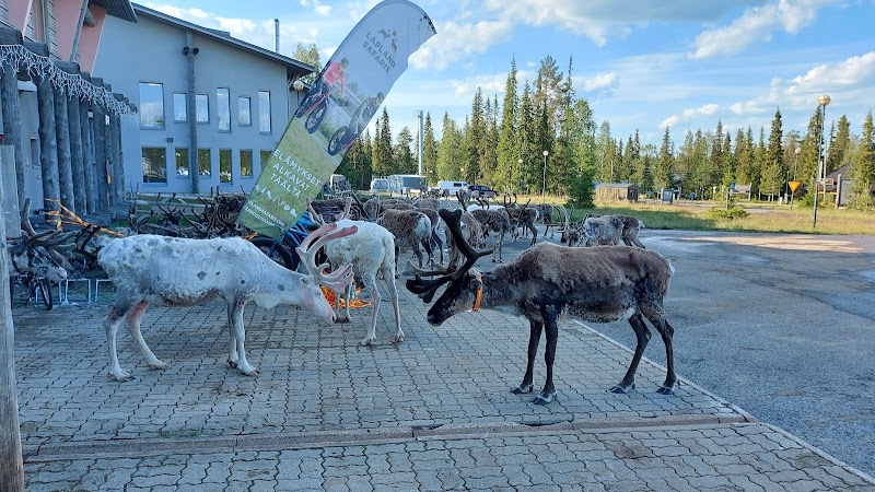 Lapland Hotels Luostotunturi - Hotel Spa in Lapland