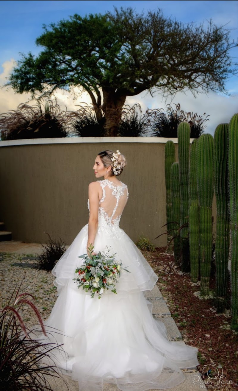 Lasencia Beauty Wellness Center Cabo San Lucas - Wellness Retreat in Cabo San Lucas