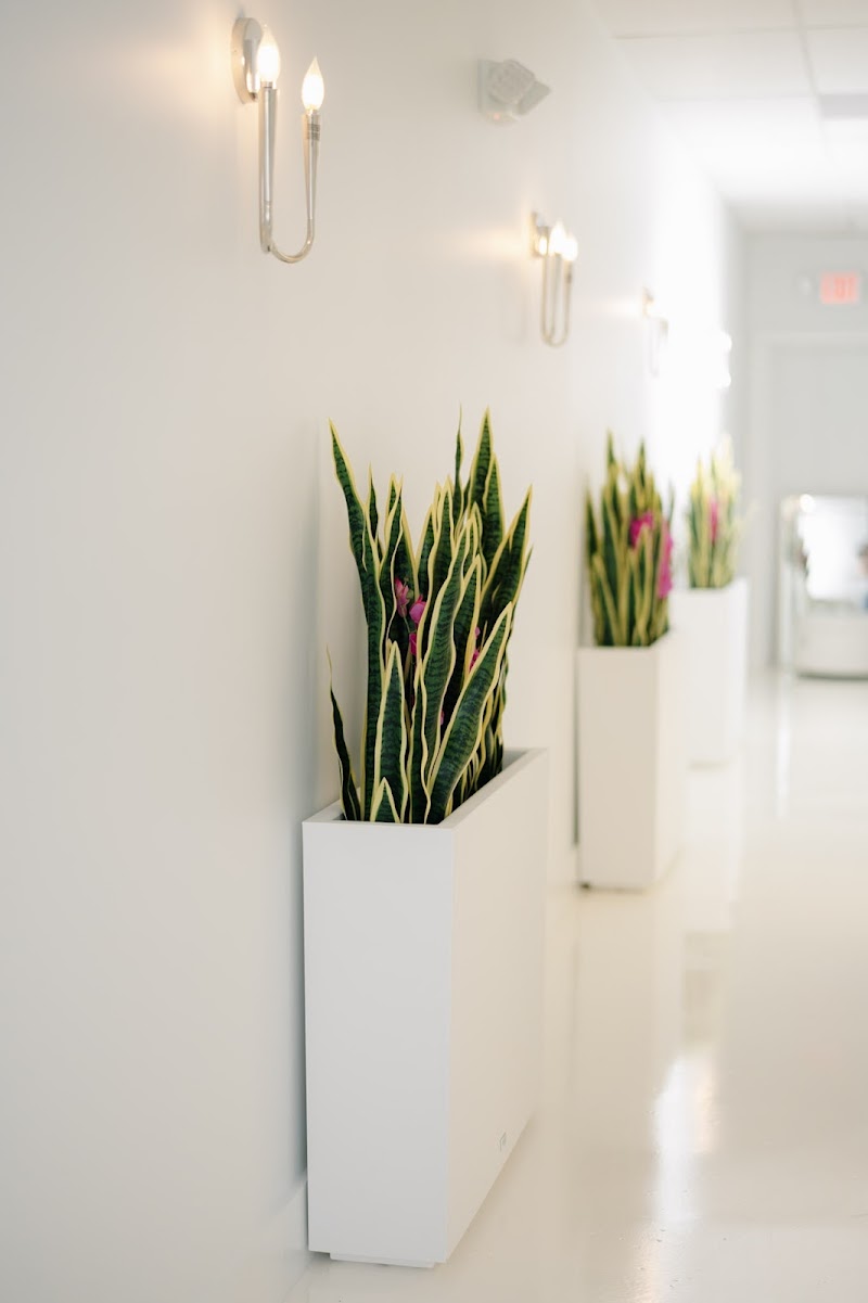 Laser Light Body Slimming & Med Spa Palm City - Day Spa in Palm City