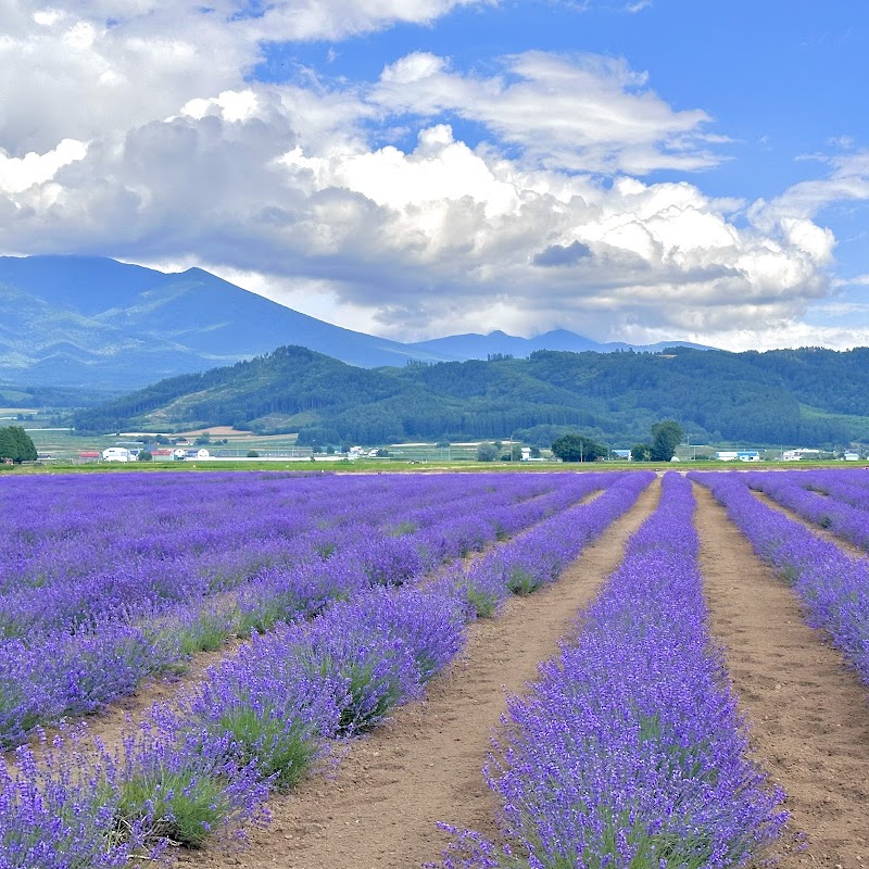Lavender East no Yu Kamifurano Town - Day Spa in Kamifurano Town