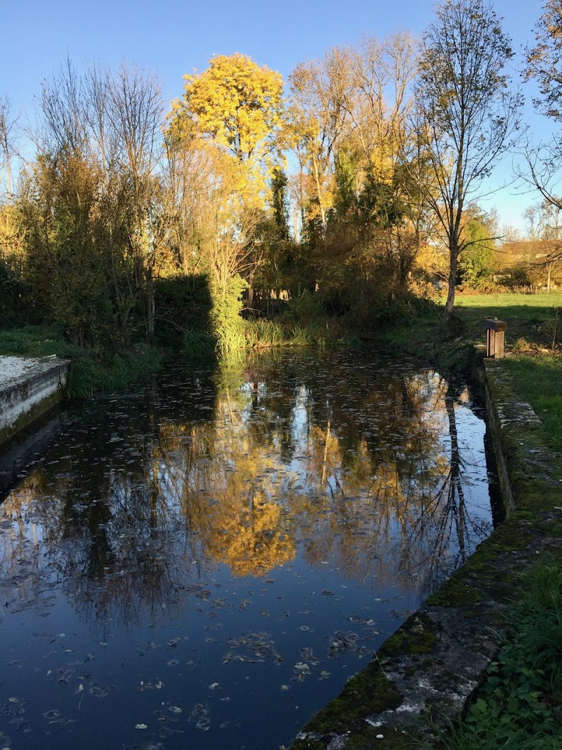Le Moulin des tachyons Chaumont-le-Bois - Wellness Retreat in Chaumont-le-Bois