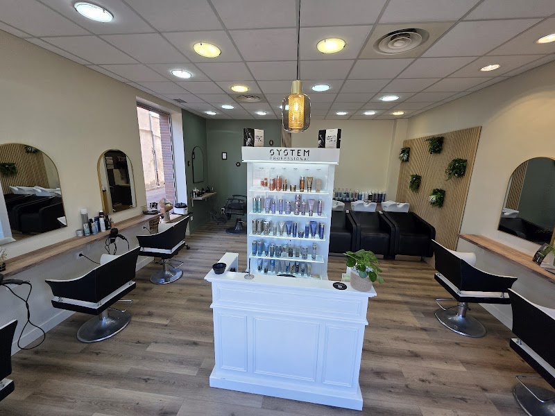 Le Salon Solidaire 3B Rieumes - Wellness Retreat in Rieumes