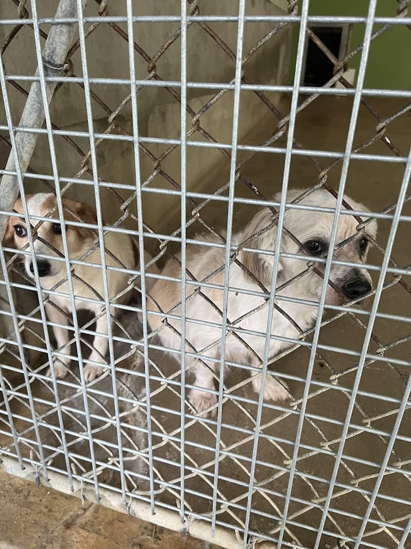 Leader Spa Orgeval - Day Spa in Orgeval