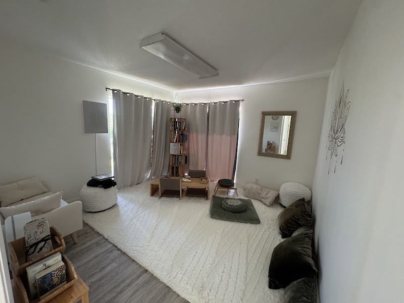 Leech Therapy at Silesian Holistic Center Sarasota - Day Spa in Sarasota