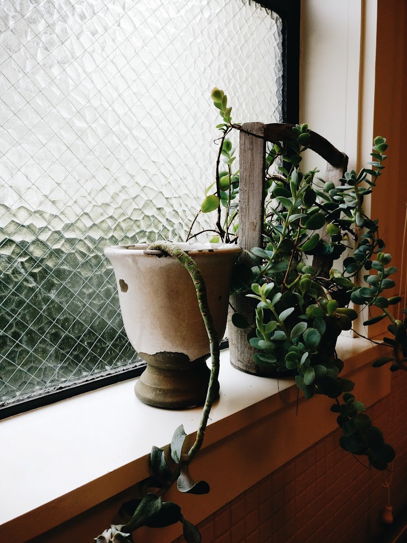 Lidia's Skincare Willow Springs - Day Spa in Willow Springs