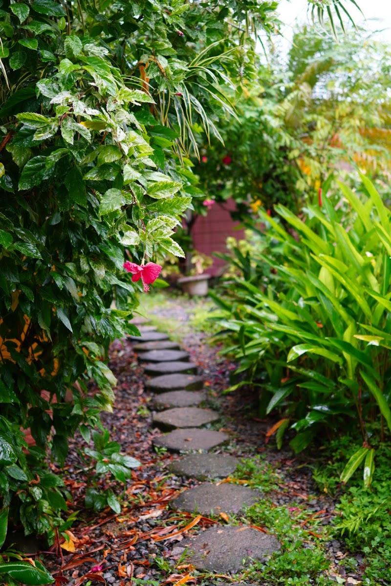 Lil Spa Shop Bocas del Toro