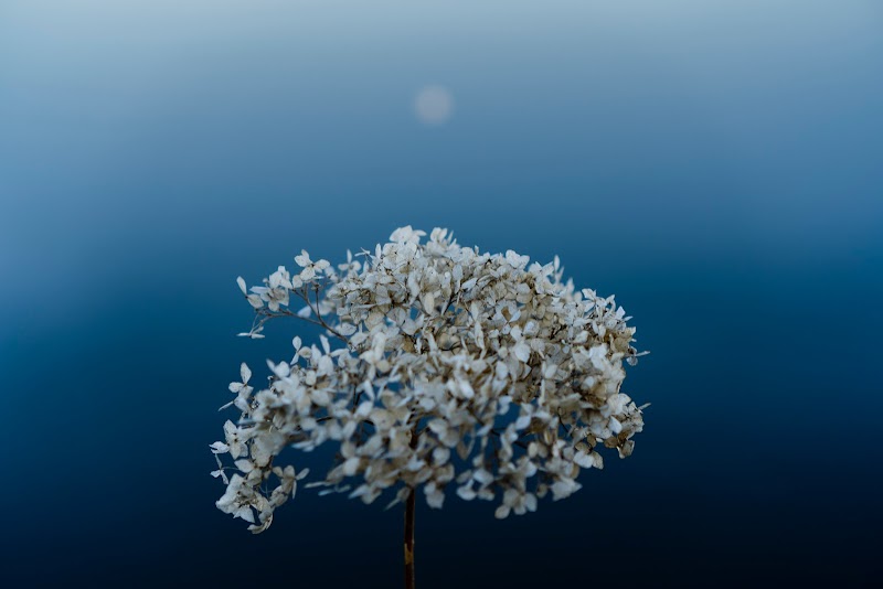 LM2 L'art du Mieux-etre Rouyn-Noranda - Day Spa in Rouyn-Noranda