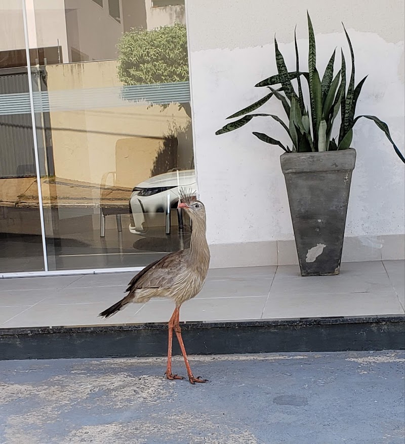 Lourdes Cabeleireiro Marília - Day Spa in Marília