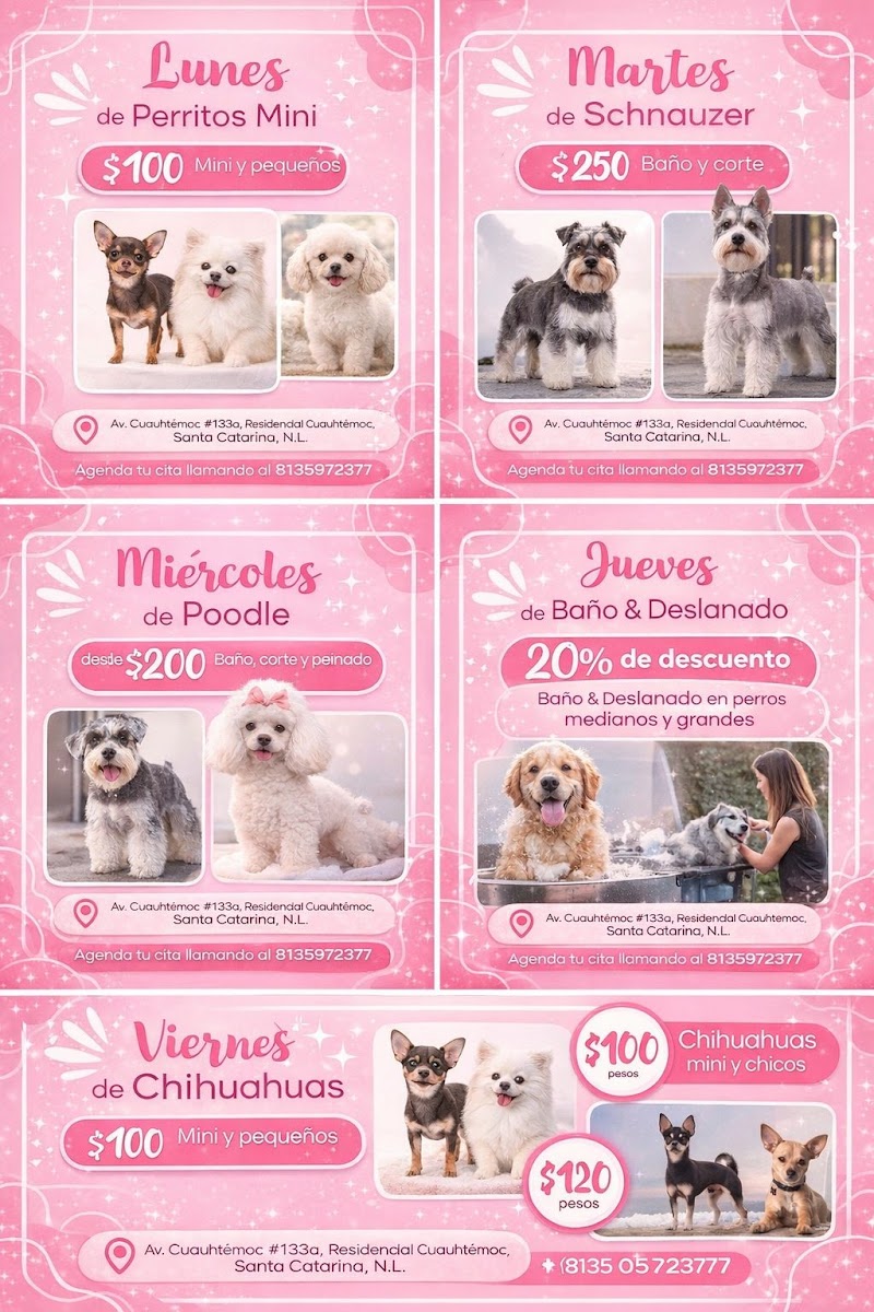 Lu Mon Santa Catarina - Wellness Retreat in Santa Catarina