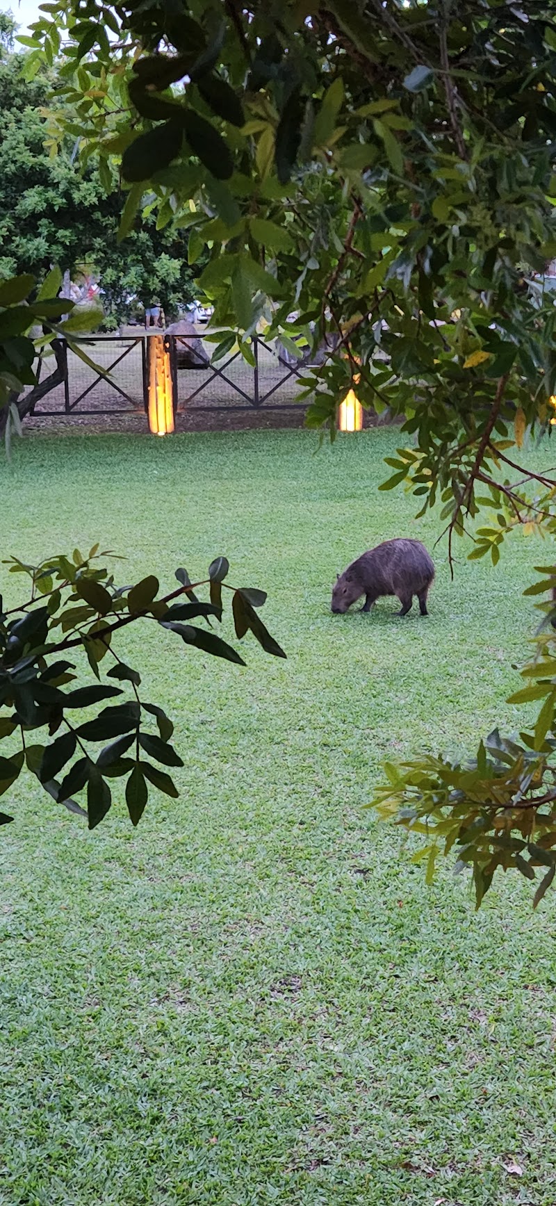 Lummertz Atracadouro Passo de Torres - Day Spa in Passo de Torres