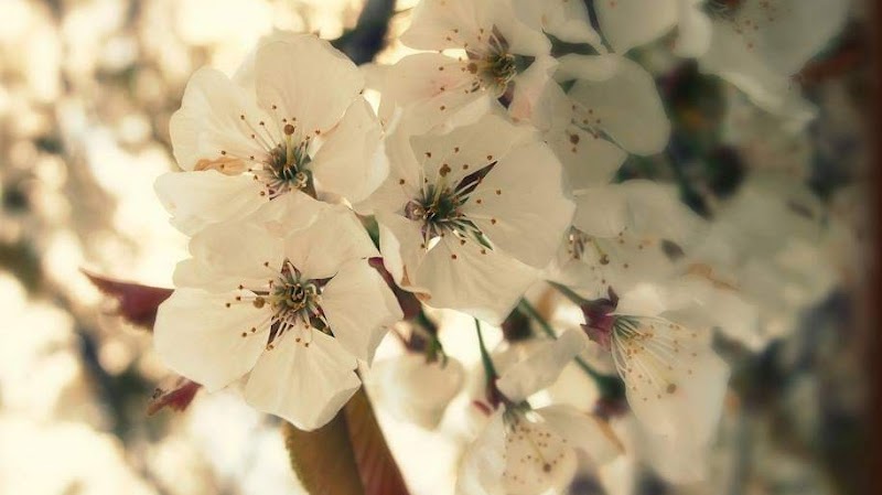 Lunessens Éragny - Day Spa in Éragny