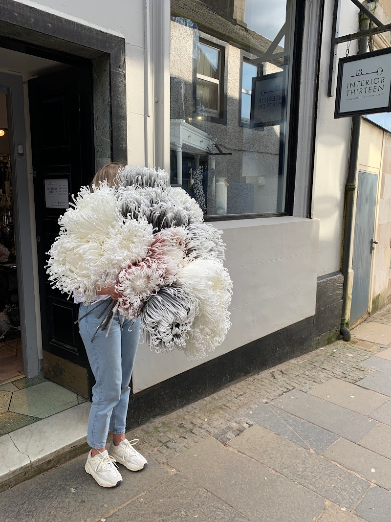 Lush Decor & Gifts Strathaven - Day Spa in Strathaven