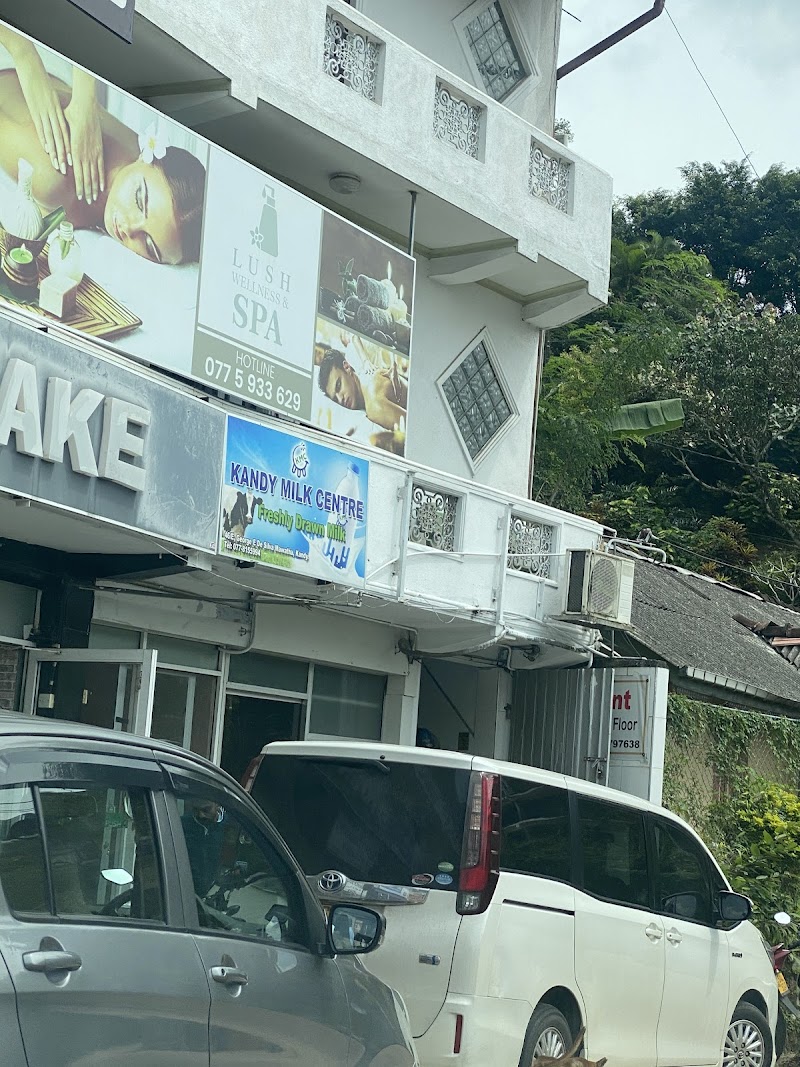 Lush Spa And Wellness Kandy - Wellness Retreat in Kandy