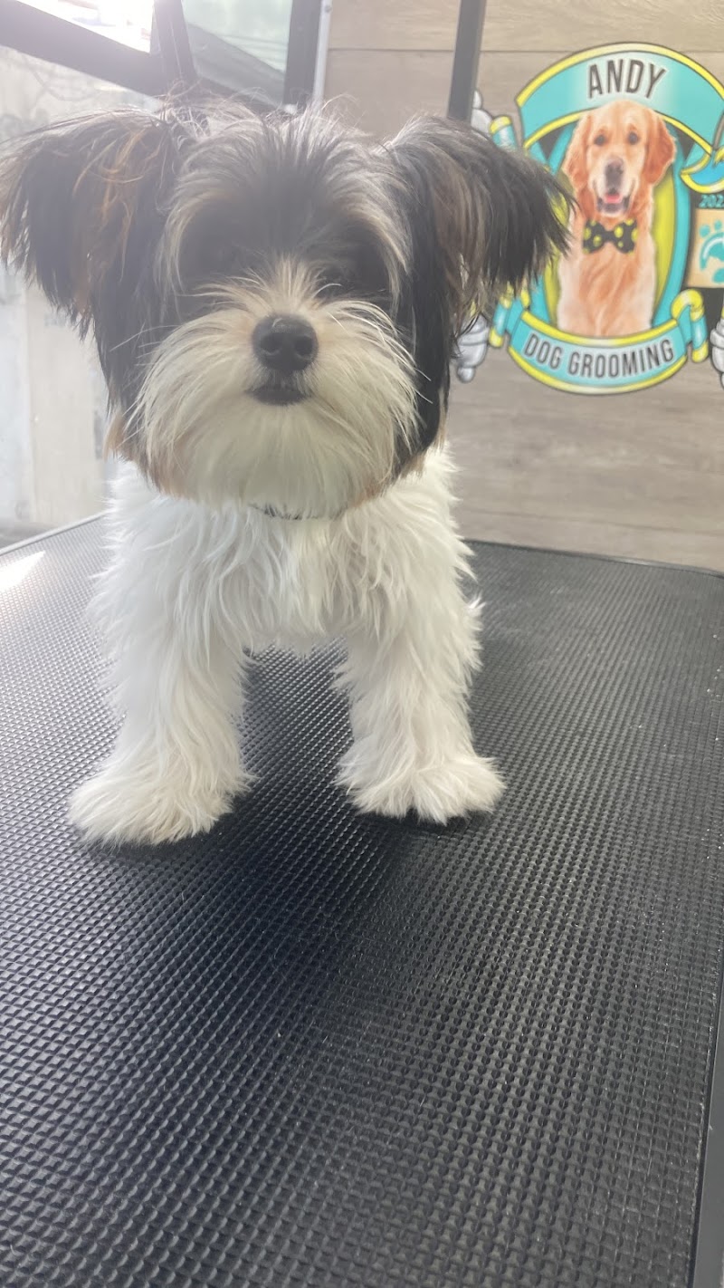 M & C Beauty Salon El Paso - Day Spa in El Paso