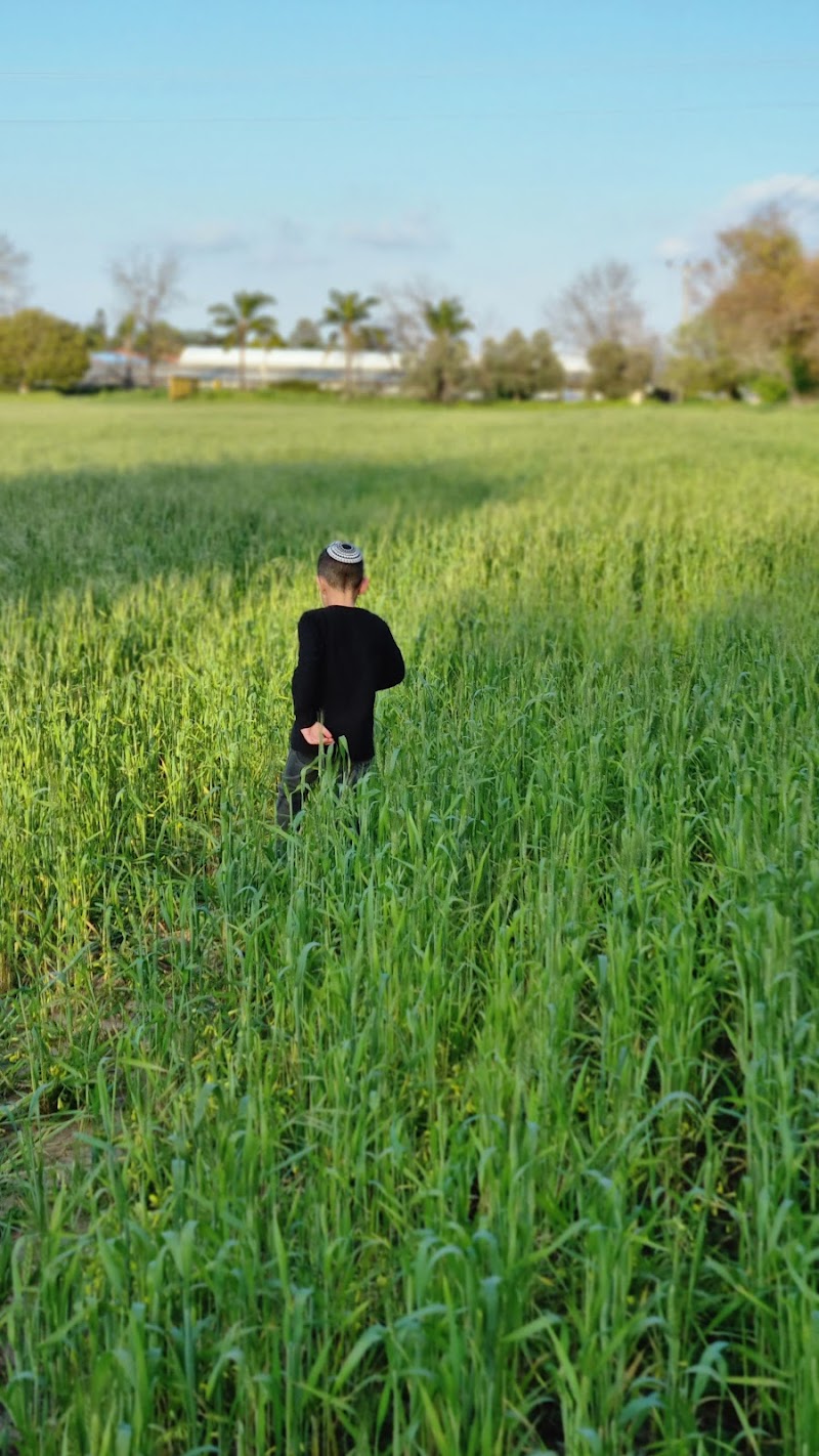 Ma'ayanah Hof HaSharon Regional Council - Day Spa in Hof HaSharon Regional Council