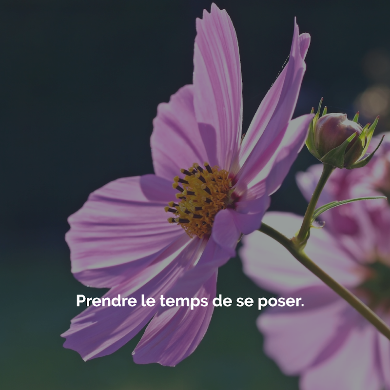 Ma Douce Pause Boves - Day Spa in Boves