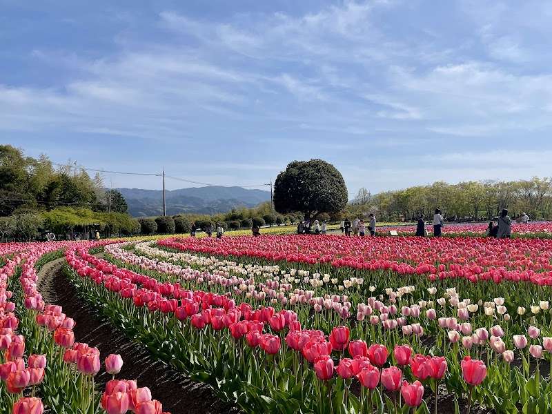 Macare Izumi City - Day Spa in Izumi City