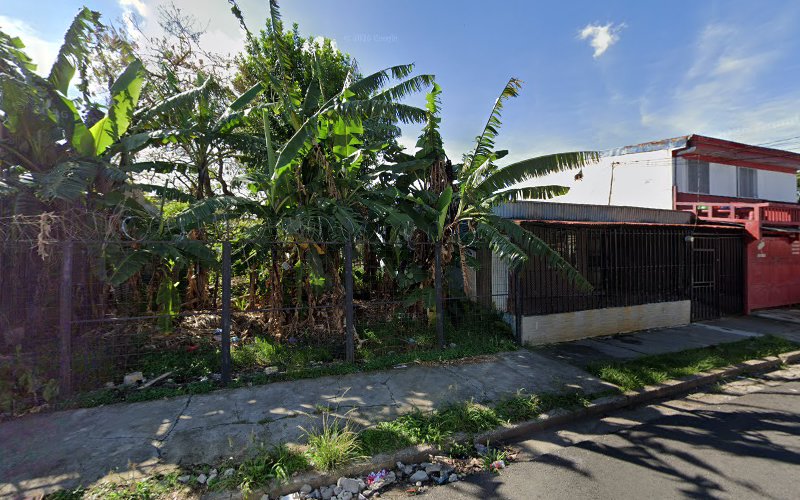 Mano Consciente San José