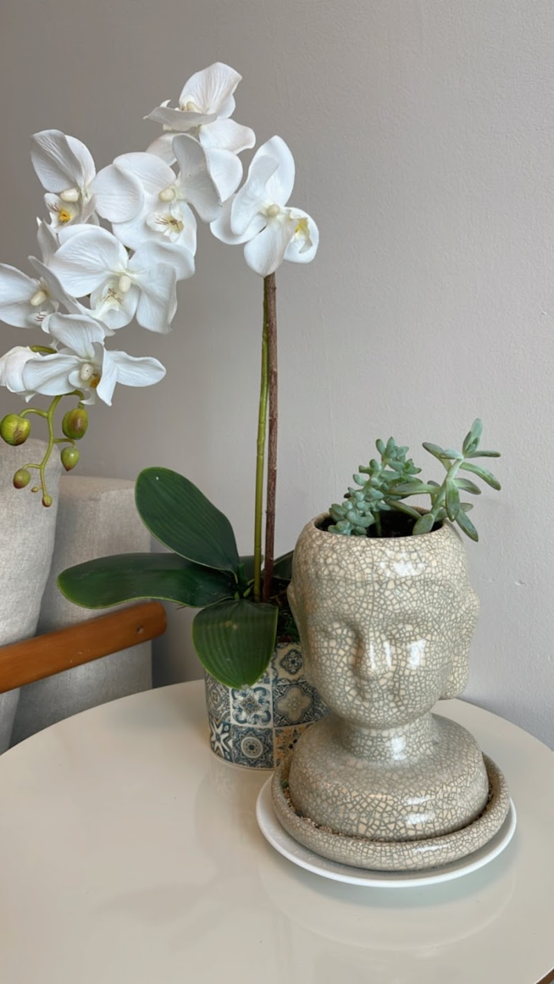 Mara Martorelli Massoterapia São Caetano do Sul - Day Spa in São Caetano do Sul