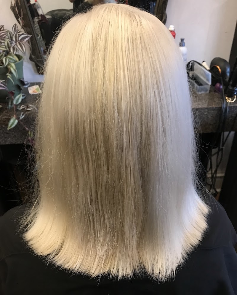 Mara Max Hair Salon Glencoe - Day Spa in Glencoe