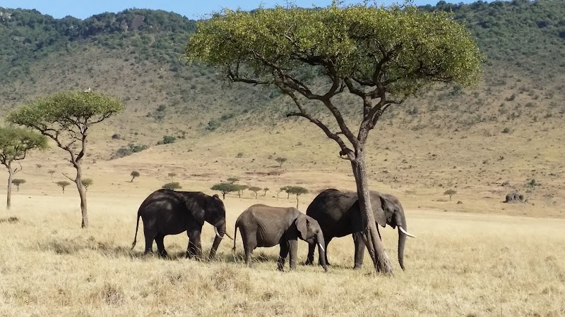 Mara Triangle Masai Mara - Day Spa in Masai Mara