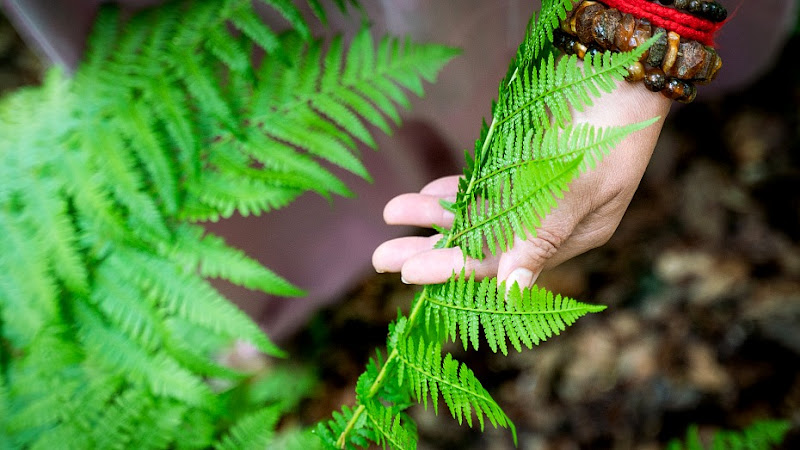 Māras dārza pirtiņa Kazdanga