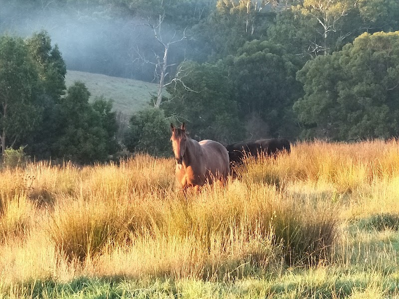 Maree's Equine Therapy Stony Creek - Day Spa in Stony Creek
