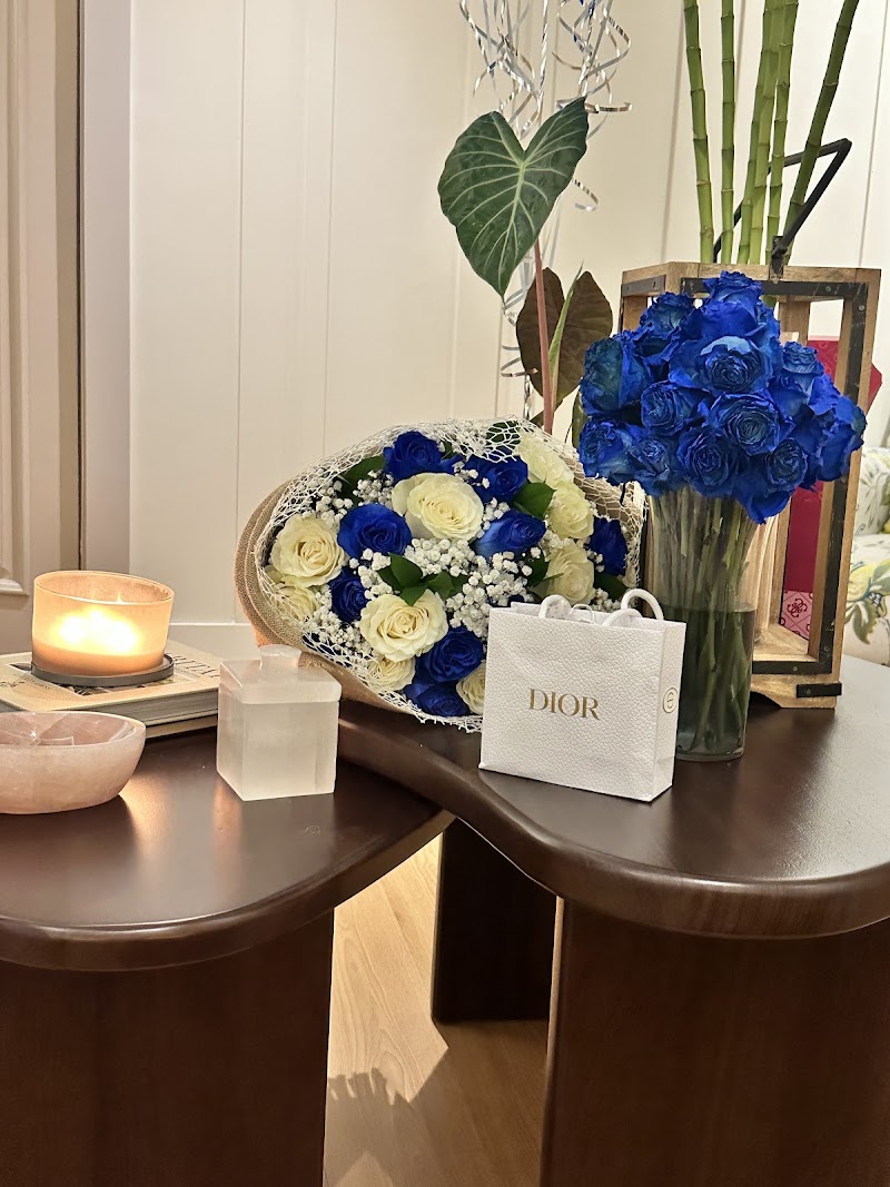 Mariet Spacio Zen Santiago