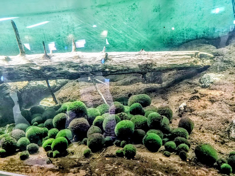 Marimo-yu Kushiro - Thermal Spa in Kushiro