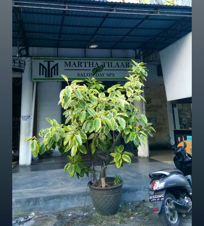 Martha Tilaar Salon Day Spa Aceh Banda Aceh - Day Spa in Banda Aceh