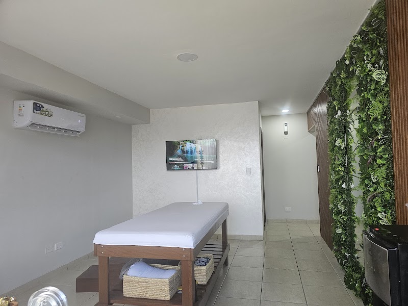 Masajeador terapeutico Santa Cruz de la Sierra - Day Spa in Santa Cruz de la Sierra