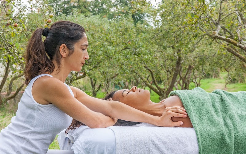 Massage Brighton Wellbeing Ltd