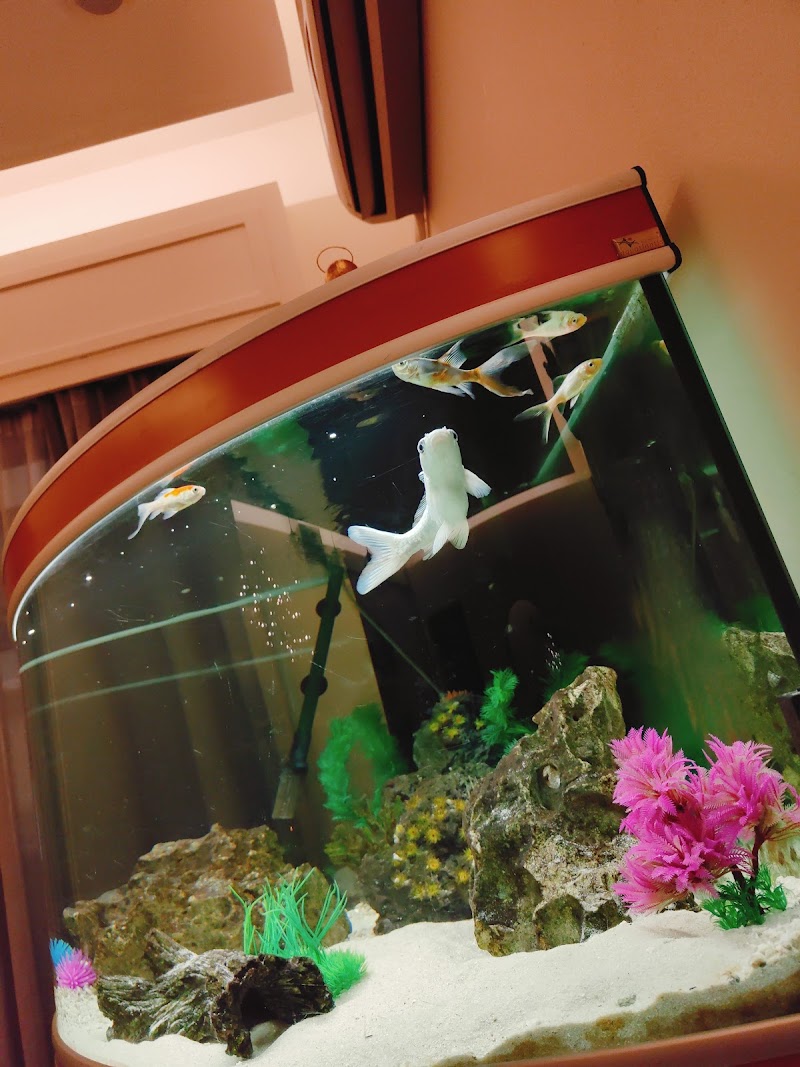 Massage for U Chalkida - Day Spa in Chalkida