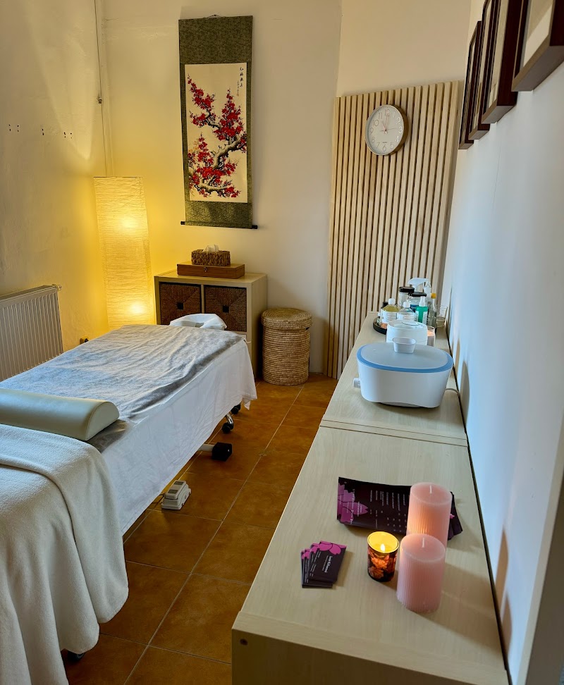 Ústí nad Labem massage Sakura - Day Spa in Ústí nad Labem