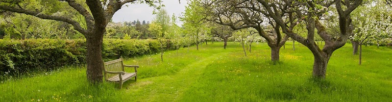Massagehands Geldermalsen - Day Spa in Geldermalsen